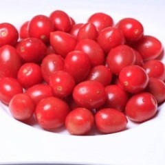 山东聊城莘县供应樱桃小番茄