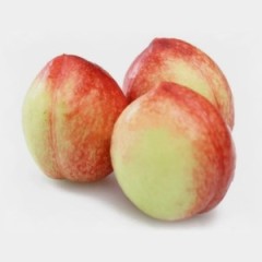 河北乐亭县大量毛桃、油桃三月底四月初就能上市