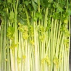 优级章丘鲍芹芽