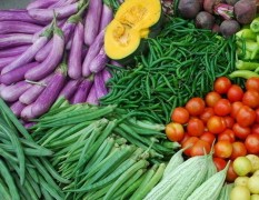 3月30日山东各类新鲜蔬菜价格行情