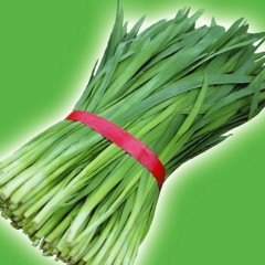 3月30日河南安阳黄瓜价格、浚县韭菜价格