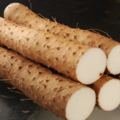 现有大量优质鼎泰沣山药出售