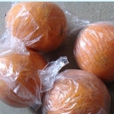 现有一万多斤的雪柑要出售