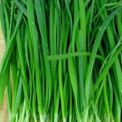 4月11日河南各地蔬菜价格行情