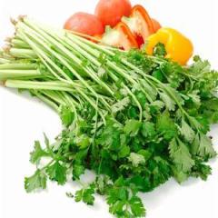 湖北方信恒丰农业有限公司供应香菜