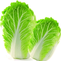 4月13日山东聊城、临沂西葫芦/白菜/土豆价格行情