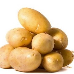 山东滕州马铃薯之乡，本人常年代收土豆