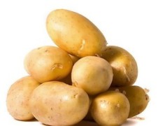 山东滕州马铃薯之乡，本人常年代收土豆