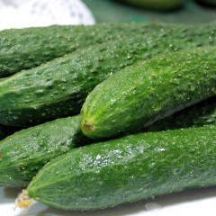 4月25日山东各地新鲜蔬菜价格行情