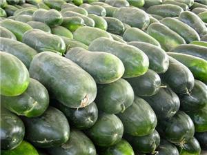 4月27日广西南宁冬瓜价格行情