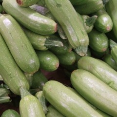 4月30日山东莘县、费县新鲜蔬菜价格行情