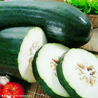 安徽亳州数十万亩冬瓜5月大量上市