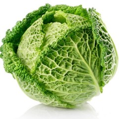 5月7日山东潍坊，聊城各类新鲜蔬菜价格