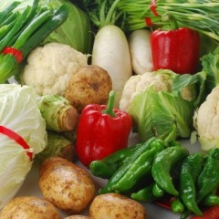 5月14日河北昌黎各类蔬菜价格行情