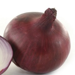 5月16日江苏丰县，山东洋葱价格行情