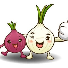 6月8日江苏丰县洋葱价格行情