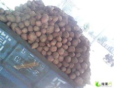河南开封农贸市场新鲜红薯（地瓜）上市