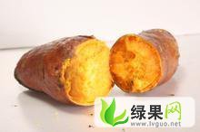 广东优质红薯 番薯 地瓜