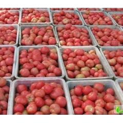 潍坊市乔官粉百利1.8元/斤