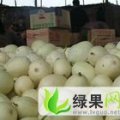 临沂市西瓜、甜瓜