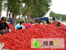 济宁市鸡黍镇王启发供应金塔今天1500-1750元/吨