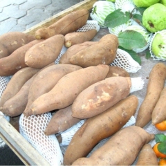 石家庄市何家沟董云霞：商品燕薯14便宜了