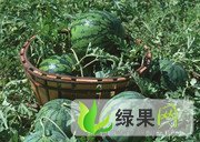 京欣价格