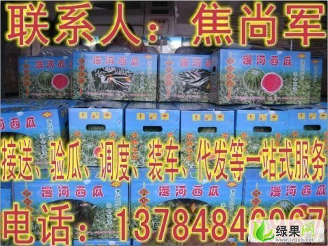 863价格