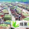 山东惠民惠民西瓜代理：麻店镇孙希刚