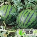 山东费县京欣：上冶镇耿经理