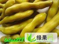 四川内江市中龙爪豆：凤鸣镇黎德勇