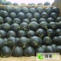 湖北松滋无籽西瓜：货源充足，