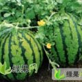 山东惠民京欣：麻店、老王