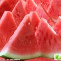 河南扶沟花皮无籽：尚村岗栾建华
