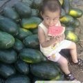 湖北黑美人：皂市镇李健
