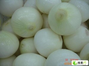 济南优质出口级保鲜洋葱2200元/吨