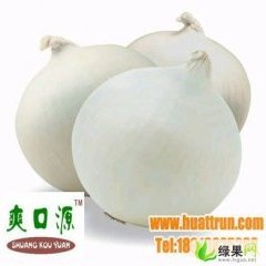 【精品】爽口源牌保鲜白皮洋葱