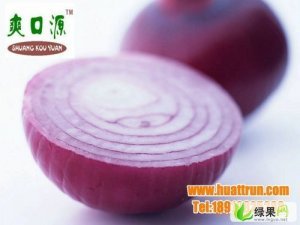 【精品】爽口源牌 供应保鲜红皮洋葱  高原夏菜