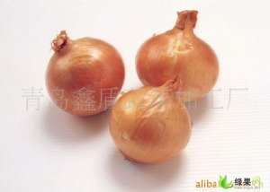 山东莱西供应元葱（多图）