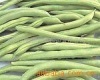荆州蔬菜基地供应四季豆干