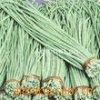 新豆角全面上市，大量批发