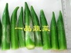 营养保健蔬菜：黄秋葵的产地山东莱阳