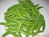 广州市供应甜豆，价格优惠