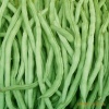 供应新鲜豆荚蔬菜：四季豆、长豆角、芸豆