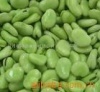 福建大量供:保鲜蚕豆,出口标准