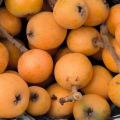 2026年03月08日 07:37:19am