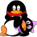 xxn321