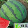 陈子营