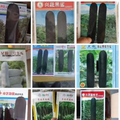 liu13886204080