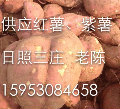 日照三庄老陈